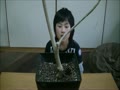 植物の水やりのタイミング