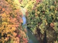 秋田県湯沢市の小安峡の紅葉🍁です(^^)昨日の動画ですが、キレイでした😀